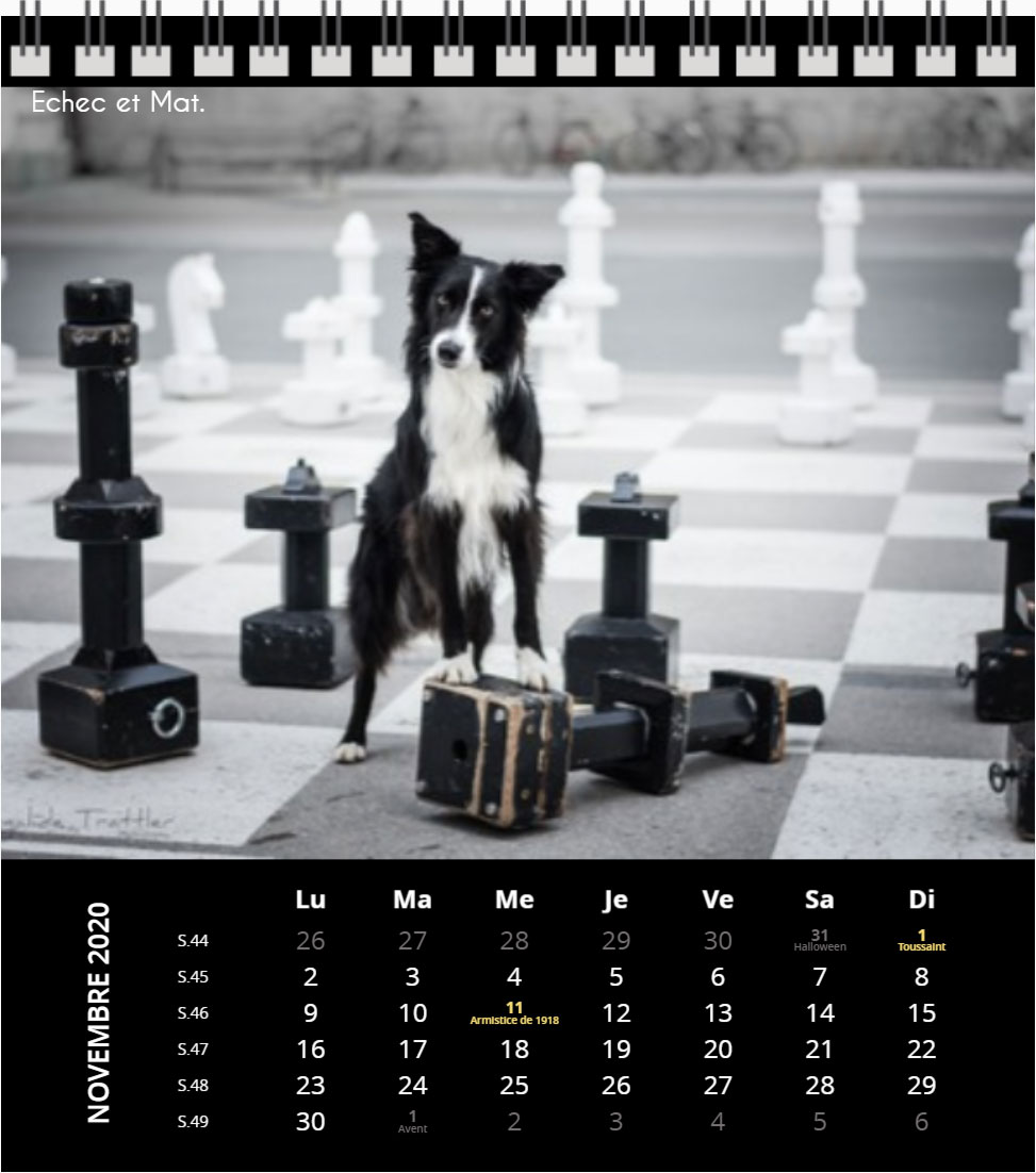 Novembre 2020